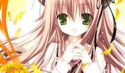 无限动漫网肉片,肉片盛宴，带你领略二次元世界